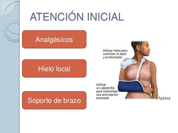 Diagnostico Y Tratamiento En Ortopedia Skinner Pdf To Word