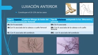 LUXACIÓN ANTERIOR
 Constituyen el 10-15% de los casos
Tipo I : Superior o púbicas (Riesgo de lesión del
paquete neurovascular femoral)
Tipo II: Inferiores incluyendo la lux. Obturatriz y
perineal.
IA: Sin fx asociada IIA: Sin fx asociada
IB:Con fx asociada de la cabeza o cuello femoral IIB: Con fx asociada de la cabeza o el cuello
femoral
IC: Con fx asociada del acetábulo IIIC: con fx asociada del acetábulo
 