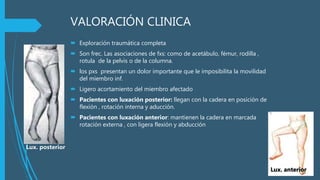 VALORACIÓN CLINICA
 Exploración traumática completa
 Son frec. Las asociaciones de fxs: como de acetábulo, fémur, rodilla ,
rotula de la pelvis o de la columna.
 los pxs presentan un dolor importante que le imposibilita la movilidad
del miembro inf.
 Ligero acortamiento del miembro afectado
 Pacientes con luxación posterior: llegan con la cadera en posición de
flexión , rotación interna y aducción.
 Pacientes con luxación anterior: mantienen la cadera en marcada
rotación externa , con ligera flexión y abducción
Lux. posterior
Lux. anterior
 