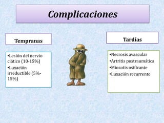 Complicaciones 
Tempranas 
•Lesión del nervio 
ciático (10-15%) 
•Luxación 
irreductible (5%- 
15%) 
Tardías 
•Necrosis avascular 
•Artritis postraumática 
•Miosotis osificante 
•Luxación recurrente 
 