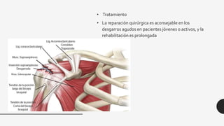 • Tratamiento
• La reparación quirúrgica es aconsejable en los
desgarros agudos en pacientes jóvenes o activos, y la
rehabilitación es prolongada
 