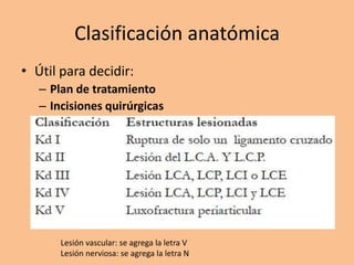 Clasificación anatómica
• Útil para decidir:
   – Plan de tratamiento
   – Incisiones quirúrgicas




       Lesión vascular: se agrega la letra V
       Lesión nerviosa: se agrega la letra N
 