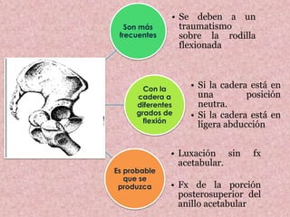 Son más 
frecuentes 
• Se deben a un 
traumatismo 
sobre la rodilla 
flexionada 
Con la 
cadera a 
diferentes 
grados de 
flexión 
• Si la cadera está en 
una posición 
neutra. 
• Si la cadera está en 
ligera abducción 
Es probable 
que se 
produzca 
• Luxación sin fx 
acetabular. 
• Fx de la porción 
posterosuperior del 
anillo acetabular 
 