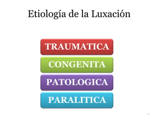 Etiología de la Luxación
14
TRAUMATICA
CONGENITA
PATOLOGICA
PARALITICA
 