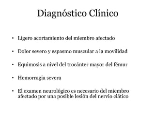 Diagnóstico Clínico
• Ligero acortamiento del miembro afectado
• Dolor severo y espasmo muscular a la movilidad
• Equimosis a nivel del trocánter mayor del fémur
• Hemorragia severa
• El examen neurológico es necesario del miembro
afectado por una posible lesión del nervio ciático
 