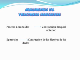 Proceso Coronoides           Contracción braquial
                                anterior


Epitróclea       Contracción de los flexores de los
             dedos
 