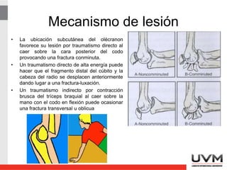 Mecanismo de lesión
• La ubicación subcutánea del olécranon
favorece su lesión por traumatismo directo al
caer sobre la cara posterior del codo
provocando una fractura conminuta.
• Un traumatismo directo de alta energía puede
hacer que el fragmento distal del cúbito y la
cabeza del radio se desplacen anteriormente
dando lugar a una fractura-luxación.
• Un traumatismo indirecto por contracción
brusca del tríceps braquial al caer sobre la
mano con el codo en flexión puede ocasionar
una fractura transversal u oblicua
 