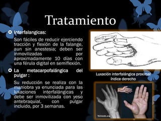 Tratamiento
 Interfalangicas:
Son fáciles de reducir ejerciendo
tracción y flexión de la falange,
aun sin anestesia; deben ser
inmovilizadas
por
aproximadamente 10 días con
una férula digital en semiflexión.
 La
metacarpofalángica
del
pulgar :
Su reducción se realiza con la
maniobra ya enunciada para las
luxaciones interfalángicas y
debe ser inmovilizada con yeso
antebraquial,
con
pulgar
incluido, por 3 semanas.

Luxación interfalángica proximal
índice derecho

 