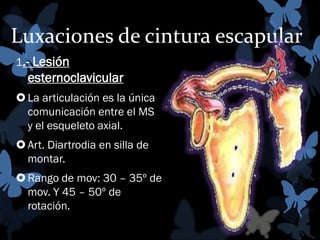 Luxaciones de cintura escapular
1.- Lesión

esternoclavicular
 La articulación es la única
comunicación entre el MS
y el esqueleto axial.
 Art. Diartrodia en silla de
montar.
 Rango de mov: 30 – 35º de
mov. Y 45 – 50º de
rotación.

 