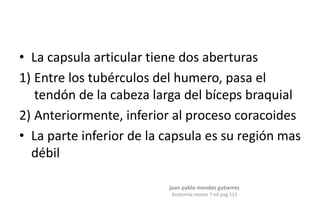 • La capsula articular tiene dos aberturas
1) Entre los tubérculos del humero, pasa el
tendón de la cabeza larga del bíceps braquial
2) Anteriormente, inferior al proceso coracoides
• La parte inferior de la capsula es su región mas
débil
juan pablo mendez gutierrez
Anatomia moore 7 ed pag 115
 