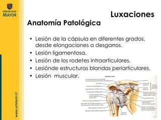 Anatomía Patológica Lesión de la cápsula en diferentes grados, desde elongaciones a desgarros. Lesión ligamentosa. Lesión de los rodetes intraarticulares. Lesiónde estructuras blandas periarticulares. Lesión  muscular. Luxaciones 