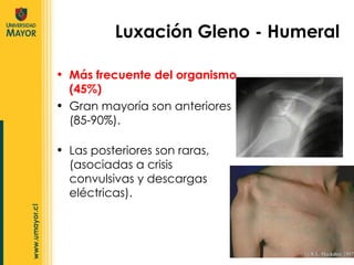 Luxación Gleno - Humeral Más frecuente del organismo (45%) Gran mayoría son anteriores (85-90%). Las posteriores son raras, (asociadas a crisis convulsivas y descargas eléctricas). 