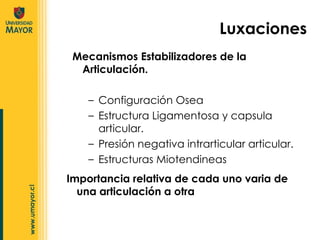 Luxaciones Importancia relativa de cada uno varia de una articulación a otra Mecanismos Estabilizadores de la Articulación. Configuración Osea Estructura Ligamentosa y capsula articular. Presión negativa intrarticular articular. Estructuras Miotendineas 