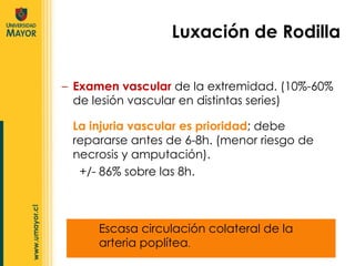 Examen vascular  de la extremidad. (10%-60% de lesión vascular en distintas series) Luxación de Rodilla La injuria vascular es prioridad ; debe repararse antes de 6-8h. (menor riesgo de necrosis y amputación). +/- 86% sobre las 8h.  Escasa circulación colateral de la arteria poplítea . 