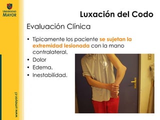 Evaluación Clínica Típicamente los paciente  se sujetan la extremidad lesionada  con la mano contralateral. Dolor Edema. Inestabilidad. Luxación del Codo 