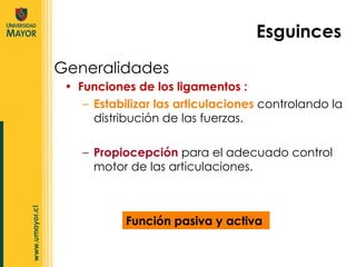 Funciones de los ligamentos : Estabilizar las articulaciones  controlando la distribución de las fuerzas. Propiocepción  para el adecuado control motor de las articulaciones. Generalidades Esguinces Función pasiva y activa 