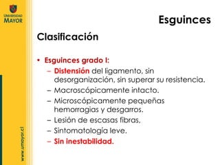 Esguinces grado I:  Distensión  del ligamento, sin desorganización, sin superar su resistencia.  Macroscópicamente intacto. Microscópicamente pequeñas hemorragias y desgarros. Lesión de escasas fibras, Sintomatología leve. Sin inestabilidad. Clasificación Esguinces 