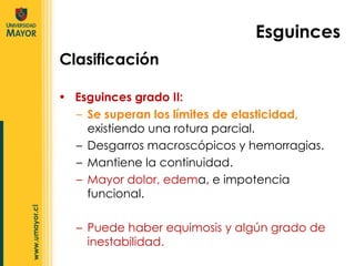   Esguinces grado II:  Se superan los límites de elasticidad,  existiendo una rotura parcial. Desgarros macroscópicos y hemorragias. Mantiene la continuidad. Mayor dolor, edem a, e impotencia funcional. Puede haber equimosis y algún grado de inestabilidad. Clasificación Esguinces 