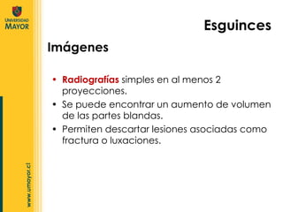 Radiografías  simples en al menos 2 proyecciones.  Se puede encontrar un aumento de volumen de las partes blandas.  Permiten descartar lesiones asociadas como fractura o luxaciones. Imágenes Esguinces 