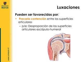 Pueden ser favorecidas por : Precaria contención  entre las superficies articulares  p/e: Desproporción de las superficies articulares escápulo-humeral  Luxaciones 