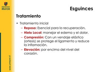 Tratamiento inicial Reposo:  Esencial para la recuperación.  Hielo Local : manejar el edema y el dolor.  Compresión:  Con un vendaje elástico (ortesis) se protege el ligamento y reduce la inflamación.  Elevación:  por encima del nivel del corazón.  Tratamiento Esguinces 