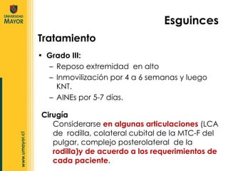 Grado III: Reposo extremidad  en alto Inmovilización por 4 a 6 semanas y luego KNT. AINEs por 5-7 días. Tratamiento Cirugía Considerarse  en algunas articulaciones  (LCA de  rodilla, colateral cubital de la MTC-F del pulgar, complejo posterolateral  de la  rodilla)y de acuerdo a los requerimientos de cada paciente . Esguinces 