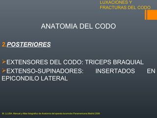 LUXACIONES Y
FRACTURAS DEL CODO
ANATOMIA DEL CODO
2.POSTERIORES
EXTENSORES DEL CODO: TRICEPS BRAQUIAL
EXTENSO-SUPINADORES: INSERTADOS EN
EPICONDILO LATERAL
M. LLUSA. Manual y Atlas fotografico de Anatomía del aparato locomotor.Panamericana.Madrid 2006
 