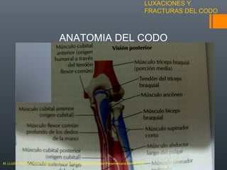 LUXACIONES Y
FRACTURAS DEL CODO
ANATOMIA DEL CODO
M. LLUSA. Manual y Atlas fotografico de Anatomía del aparato locomotor.Panamericana.Madrid 2006
 
