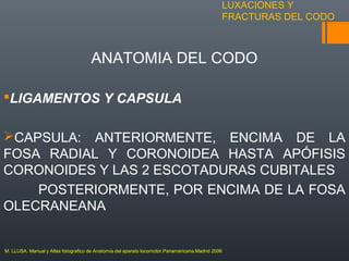 LUXACIONES Y
FRACTURAS DEL CODO
ANATOMIA DEL CODO
LIGAMENTOS Y CAPSULA
CAPSULA: ANTERIORMENTE, ENCIMA DE LA
FOSA RADIAL Y CORONOIDEA HASTA APÓFISIS
CORONOIDES Y LAS 2 ESCOTADURAS CUBITALES
POSTERIORMENTE, POR ENCIMA DE LA FOSA
OLECRANEANA
M. LLUSA. Manual y Atlas fotografico de Anatomía del aparato locomotor.Panamericana.Madrid 2006
 