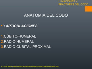 LUXACIONES Y
FRACTURAS DEL CODO
ANATOMIA DEL CODO
3 ARTICULACIONES:
1.CÚBITO-HUMERAL
2.RADIO-HUMERAL
3.RADIO-CÚBITAL PROXIMAL
M. LLUSA. Manual y Atlas fotografico de Anatomía del aparato locomotor.Panamericana.Madrid 2006
 