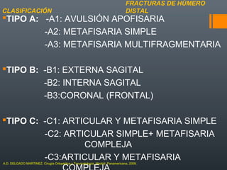 TIPO A: -A1: AVULSIÓN APOFISARIA
-A2: METAFISARIA SIMPLE
-A3: METAFISARIA MULTIFRAGMENTARIA
TIPO B: -B1: EXTERNA SAGITAL
-B2: INTERNA SAGITAL
-B3:CORONAL (FRONTAL)
TIPO C: -C1: ARTICULAR Y METAFISARIA SIMPLE
-C2: ARTICULAR SIMPLE+ METAFISARIA
COMPLEJA
-C3:ARTICULAR Y METAFISARIA
FRACTURAS DE HÚMERO
DISTALCLASIFICACIÓN
A.D. DELGADO MARTINEZ. Cirugía Ortopédica y Traumatología. Madrid: Panamericana, 2009.
 