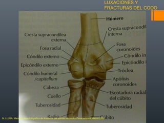 LUXACIONES Y
FRACTURAS DEL CODO
M. LLUSA. Manual y Atlas fotografico de Anatomía del aparato locomotor.Panamericana.Madrid 2006
 