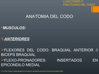 LUXACIONES Y
FRACTURAS DEL CODO
ANATOMIA DEL CODO
MUSCULOS:
1.ANTERIORES
FLEXORES DEL CODO: BRAQUIAL ANTERIOR //
BICEPS BRAQUIAL
FLEXO-PRONADORES: INSERTADOS EN
EPICONDILO MEDIAL
M. LLUSA. Manual y Atlas fotografico de Anatomía del aparato locomotor.Panamericana.Madrid 2006
 