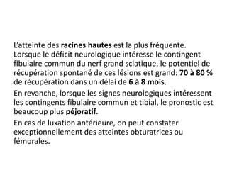 L’atteinte des racines hautes est la plus fréquente. 
Lorsque le déficit neurologique intéresse le contingent 
fibulaire commun du nerf grand sciatique, le potentiel de 
récupération spontané de ces lésions est grand: 70 à 80 % 
de récupération dans un délai de 6 à 8 mois. 
En revanche, lorsque les signes neurologiques intéressent 
les contingents fibulaire commun et tibial, le pronostic est 
beaucoup plus péjoratif. 
En cas de luxation antérieure, on peut constater 
exceptionnellement des atteintes obturatrices ou 
fémorales. 
 