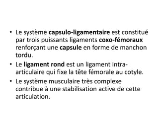 • Le système capsulo-ligamentaire est constitué 
par trois puissants ligaments coxo-fémoraux 
renforçant une capsule en forme de manchon 
tordu. 
• Le ligament rond est un ligament intra-articulaire 
qui fixe la tête fémorale au cotyle. 
• Le système musculaire très complexe 
contribue à une stabilisation active de cette 
articulation. 
 