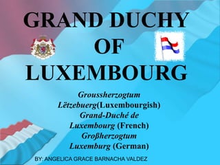 GRAND DUCHY
OF
LUXEMBOURG
Groussherzogtum
Lëtzebuerg(Luxembourgish)
Grand-Duché de
Luxembourg (French)
Großherzogtum
Luxemburg (German)
BY: ANGELICA GRACE BARNACHA VALDEZ
 