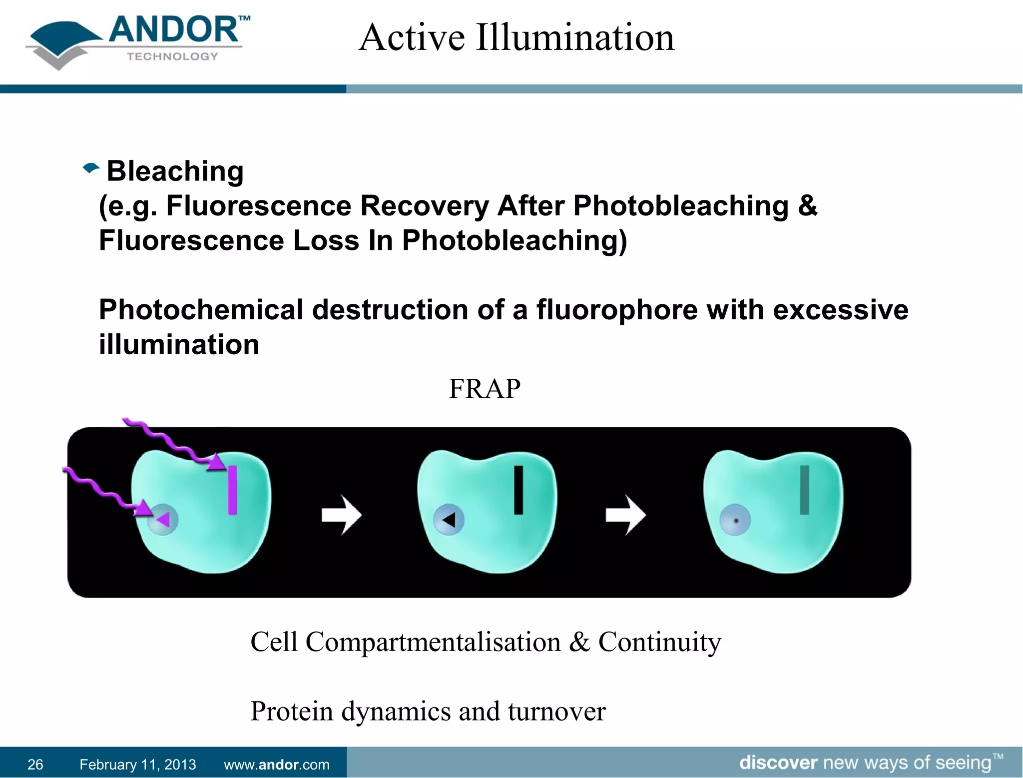 Active Illumination


        Bleaching
       (e.g. Fluorescence Recovery After Photobleaching &
       Fluorescence Loss In Photobleaching)

       Photochemical destruction of a fluorophore with excessive
       illumination
                                              FRAP




                            Cell Compartmentalisation & Continuity

                            Protein dynamics and turnover
26   February 11, 2013   www.andor.com
 