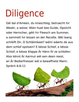 Luxembourgish Motivational Diligence Tract.pdf