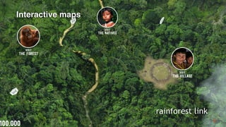 9
Interactive maps
rainforest link
 
