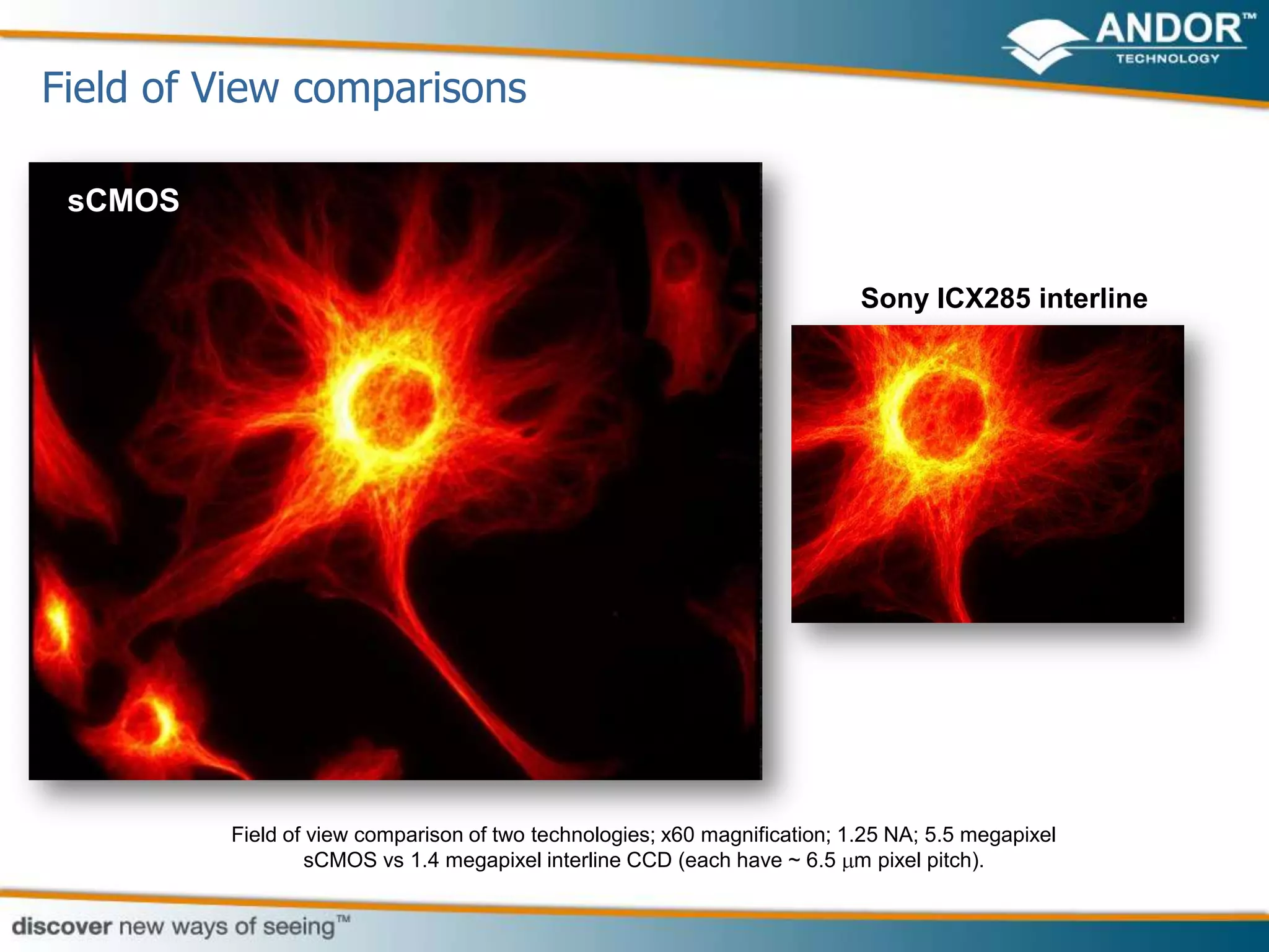 Field of View comparisons

 sCMOS


                                                                           Sony ICX285 interline




         Field of view comparison of two technologies; x60 magnification; 1.25 NA; 5.5 megapixel
                  sCMOS vs 1.4 megapixel interline CCD (each have ~ 6.5 m pixel pitch).
 