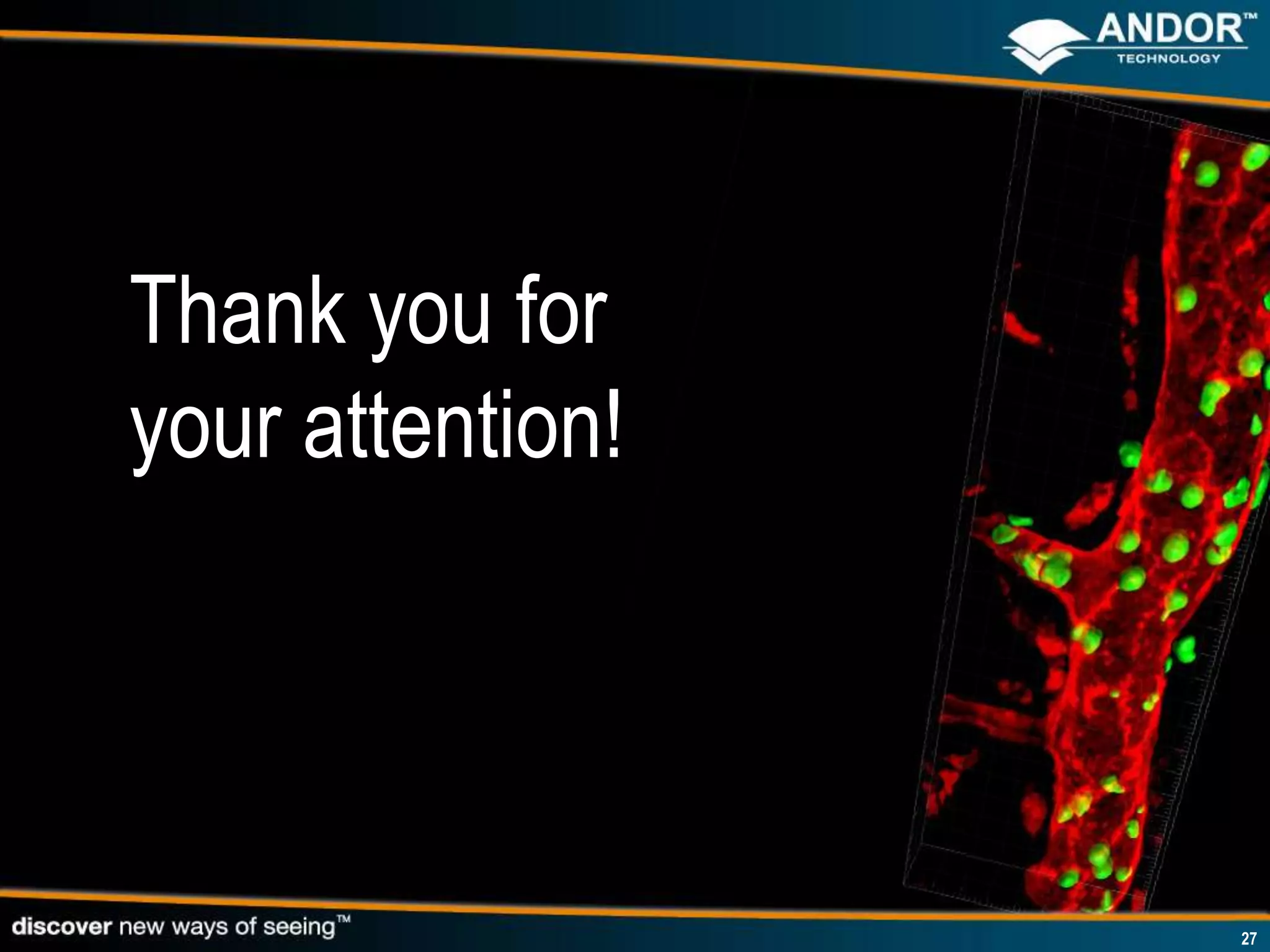 Thank you for
your attention!




                  27
 