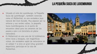 LapequeñaSuizadeLuxemburgo
● Situada al este de Luxemburgo, la“Pequeña
Suiza de Luxemburgo”, también conocida
como el Müllerthal, es una verdadera joya
natural del Gran Ducado. Muy popular por su
entorno y sus verdes valles, la pequeña
Suiza luxemburguesa es el punto de
encuentro ideal para los amantes de los
paseos a pie o en bicicleta en plena
naturaleza.
● El Müllertrail es una ruta de 112 kilómetros
entre rocas y bosques, con magníficas
vistas. ¡Un verdadero soplo de naturaleza en
el campo! Y si eres un gran (¡muy grande!)
deportista, participa en la ruta de
Müllerthal.
 