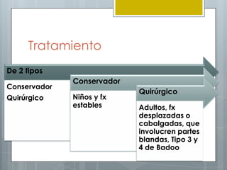 Tratamiento
De 2 tipos
              Conservador
Conservador
                            Quirúrgico
Quirúrgico    Niños y fx
              estables      Adultos, fx
                            desplazadas o
                            cabalgadas, que
                            involucren partes
                            blandas, Tipo 3 y
                            4 de Badoo
 