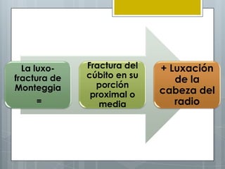 La luxo-    Fractura del   + Luxación
fractura de   cúbito en su
                                de la
Monteggia       porción
               proximal o    cabeza del
     =           media          radio
 