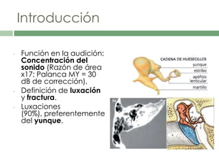 Introducción
• Función en la audición:
Concentración del
sonido (Razón de área
x17; Palanca MY = 30
dB de corrección).
• Definición de luxación
y fractura.
• Luxaciones
(90%), preferentemente
del yunque.
 
