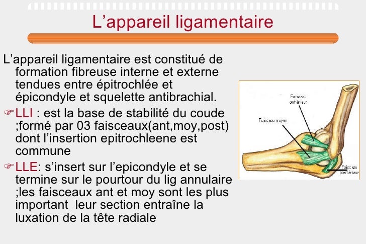 Petit le membre sur le téléphone