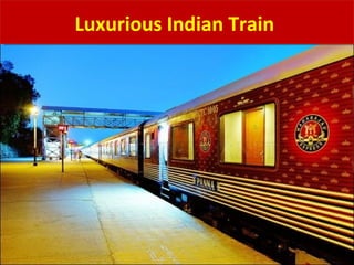 Luxurious Indian Train
 