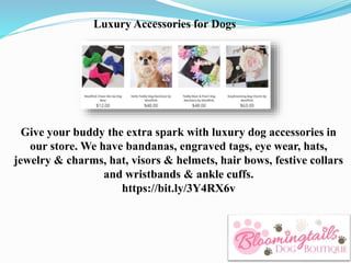 Luxury Accessories for Dogs
Give your buddy the extra spark with luxury dog accessories in
our store. We have bandanas, en...