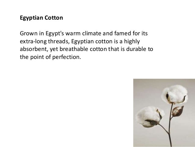 Luxury Bathrooms Egypt luxury bath towels for perfect décor Luxury Bathrooms Egypt luxury bath towels for perfect décor