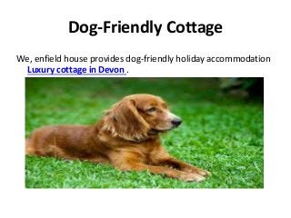 Dog-Friendly Cottage
We, enfield house provides dog-friendly holiday accommodation
Luxury cottage in Devon .
 